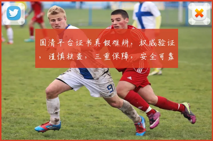 国清平台证书真假难辨，权威验证，谨慎核查，三重保障，安全可靠