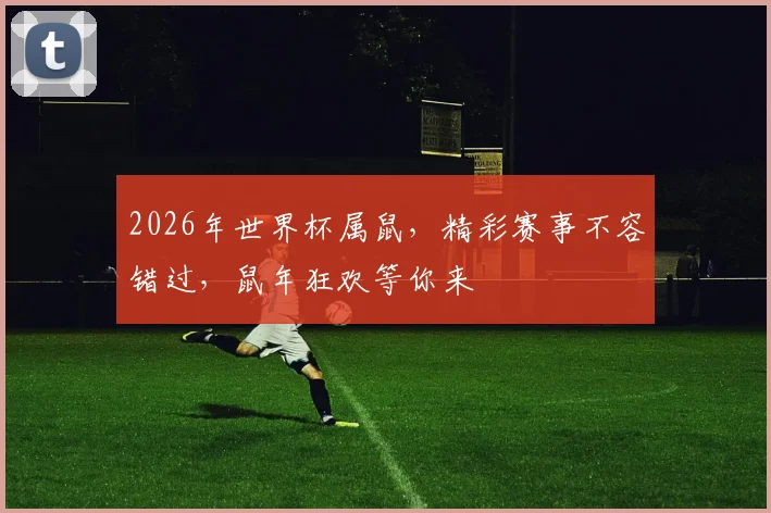 2026年世界杯属鼠，精彩赛事不容错过，鼠年狂欢等你来