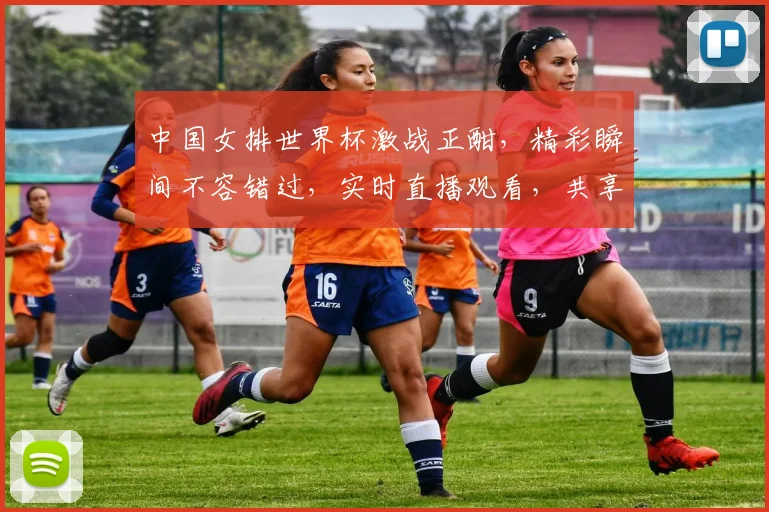 中国女排世界杯激战正酣，精彩瞬间不容错过，实时直播观看，共享冠军荣耀