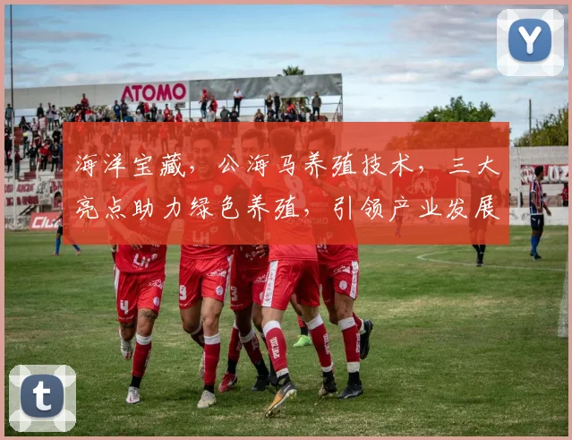 海洋宝藏，公海马养殖技术，三大亮点助力绿色养殖，引领产业发展新潮流，