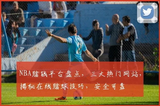 NBA赌钱平台盘点，三大热门网站，揭秘在线赌球技巧，安全可靠
